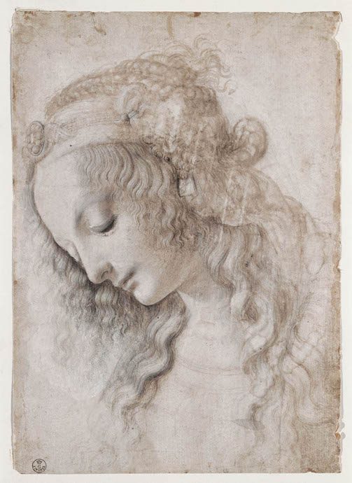 LEONARDO 1452–1519: Drawing the world at Palazzo Reale