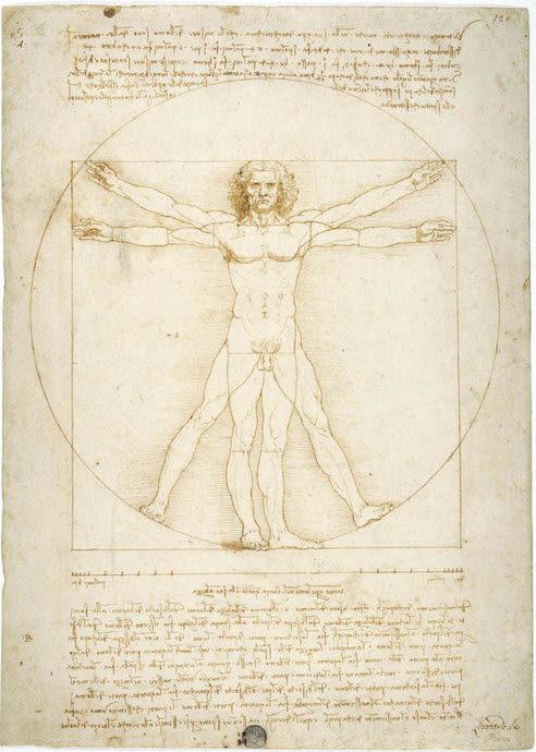 LEONARDO 1452–1519: Drawing the world at Palazzo Reale
