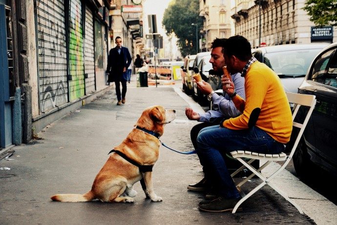 The Gelateria Guide of Milan. Best Gelato in Milan