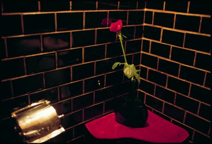 Daido Moriyama in Color at Galleria Carla Sozzani